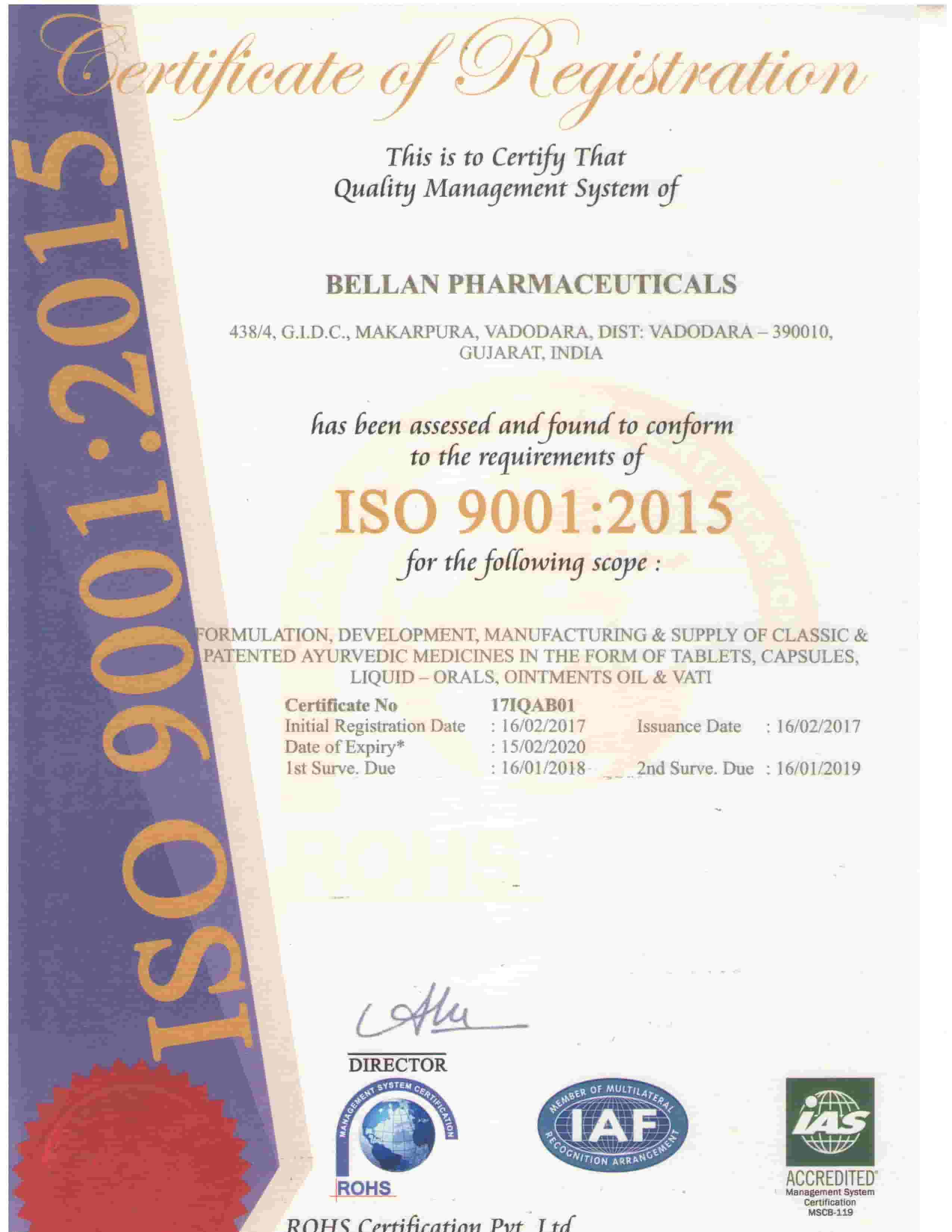 ROHS-ISO Certificate